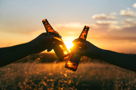 Cheers, Hands Toasting with Bottles of Beer photo