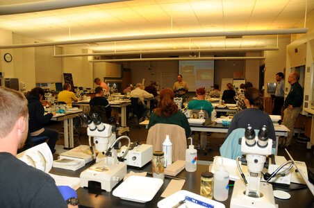 Students in the classroom lab-1 photo