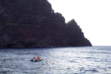 Nihoa Millerbird Translocation-1