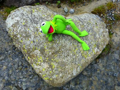Frog love nature