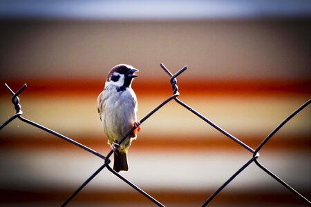 Alone freedom nature