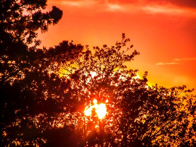 Nature sunset sky