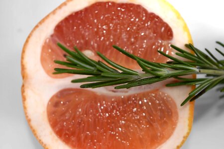 Citrus grapefruit green leaves