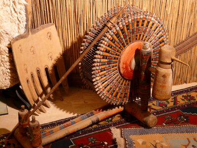 Turkey asia plucked string instrument photo