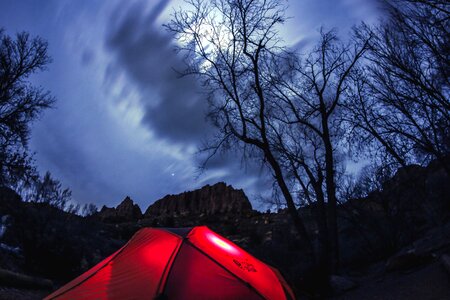 Forest landscape light