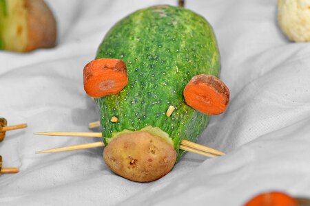 Carrot cucumber decorative photo