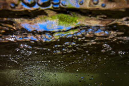 Underwater view of stream
