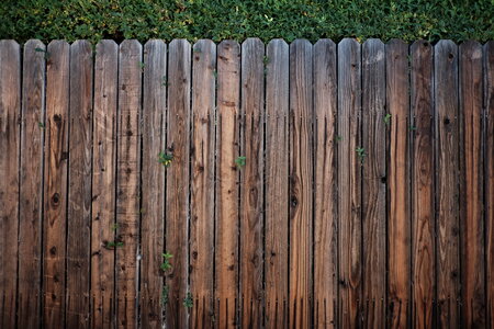 Brown fences green photo