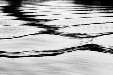 Afternoon light black and white