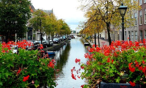 Amsterdam holland netherlands photo