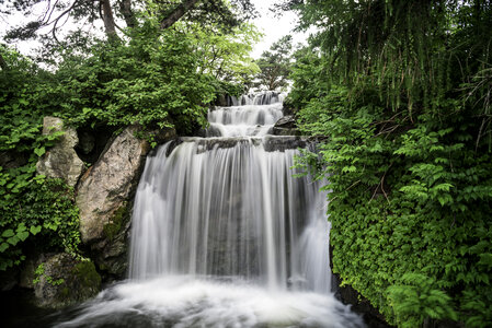 Beautiful Waterfall in the Chicago Botanical Gardens