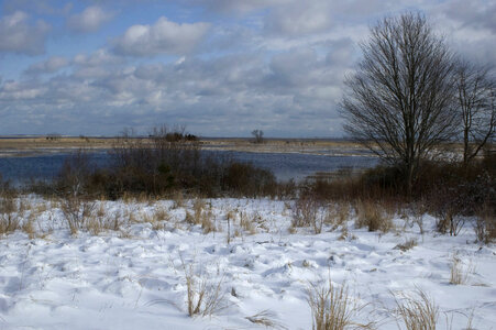 Snow covering a wetland area photo
