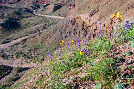 Red Canyon Jeep Road photo