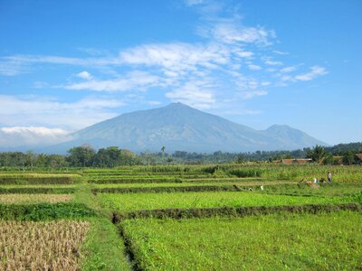 Agriculture countryside field