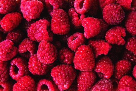 Fresh Raspberries