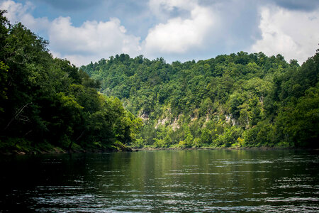 Scenic view of the Cumberland River Tailwater-1 photo