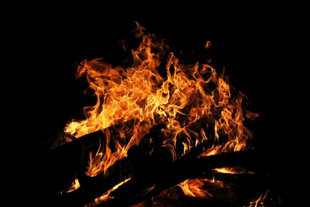 The bonfire night wood