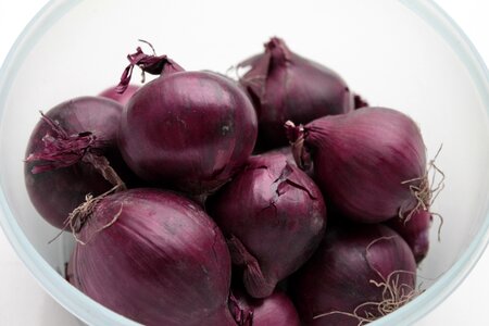 Onion red antioxidants
