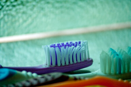 Purple Tooth Brush photo