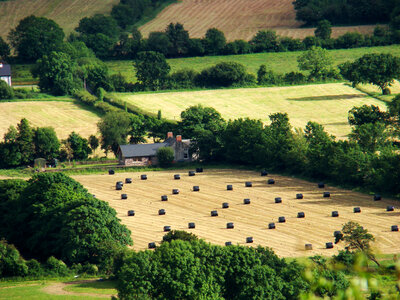 Farm landscape with fields and bales of hay photo