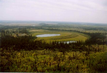 Wetland photo