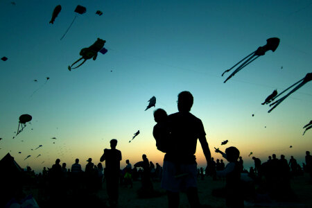 8 Dubai kite fest photo