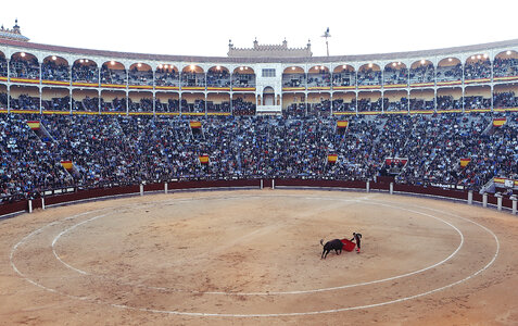 Bullfighting in Madrid, Spain