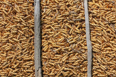 Corn barn dry