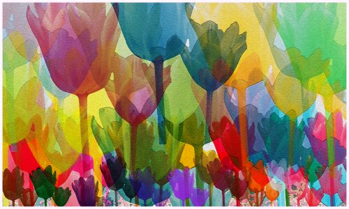 Colored tulips, one over the other