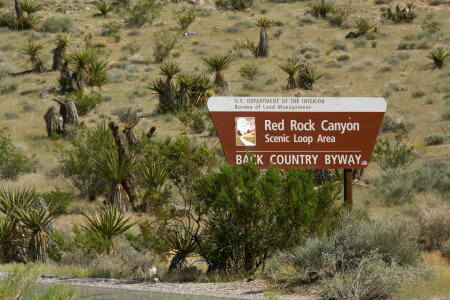 Sign for the Red Rock Canyon scenic drive photo