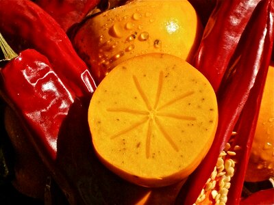 3cmlong perssimo vegetable