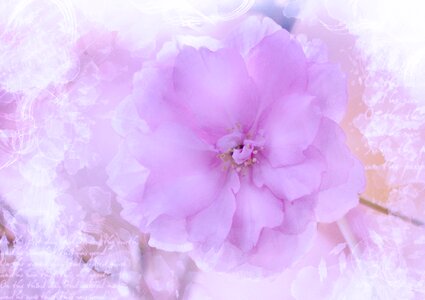 Painting romantic font