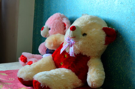 Love Couple Teddy Bears photo