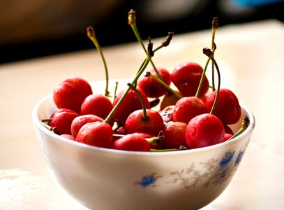 Agriculture berry button photo