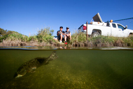 Young boys fishing for Smallmouth bass photo