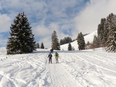 Snow shoe trek snow shoes snow hiking photo