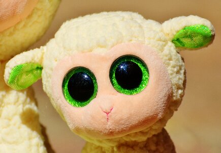 Nature lamb cute