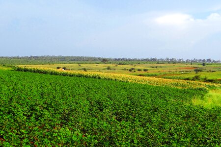 Valley landscape nature