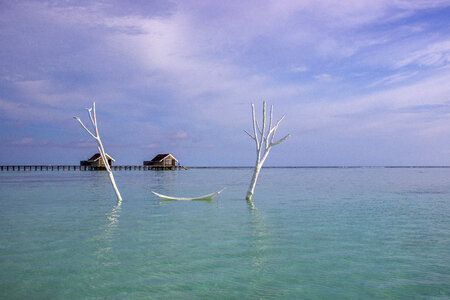 Empty Hammock Placed Between Two Poles in Water photo