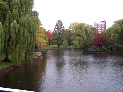 Boston Public Gardens photo