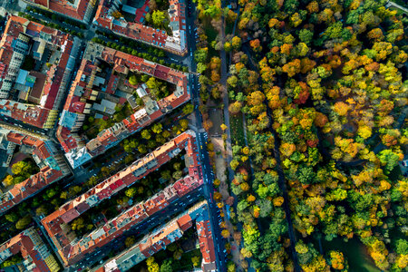Amazing view on the historic buildings of Prague and autumn park. Aerial view.