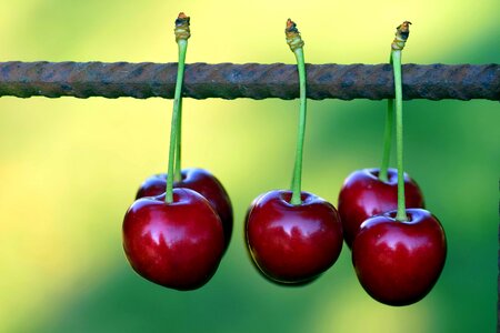 Beautiful Photo berry calorie