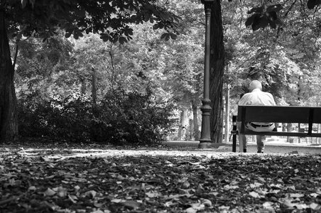 Old man sitting in the park photo