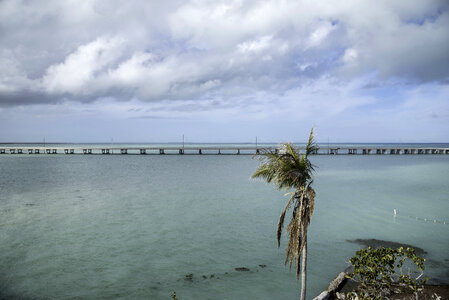 Palm Tree and beautiful overseas highway landscape photo