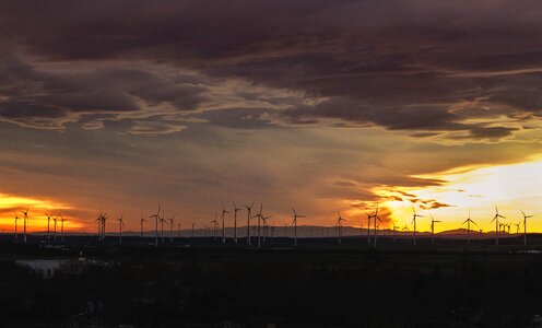 Windmills at sunset photo