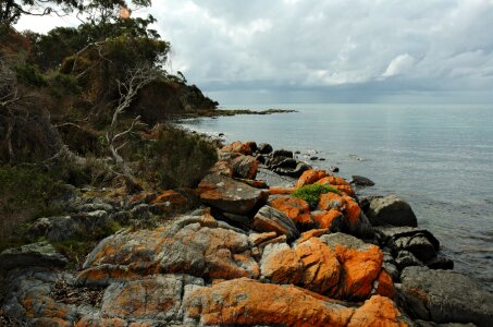 The Hazards, on Tasmania's Freycinet Peninsula photo