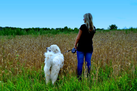 Elegant woman walking her big dog in the field photo