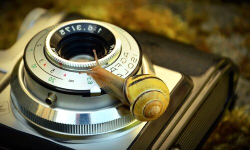 Antique beautiful photo lens