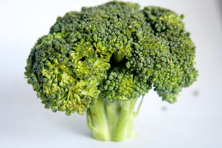 Food diet green