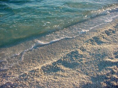 Conch phylum waves